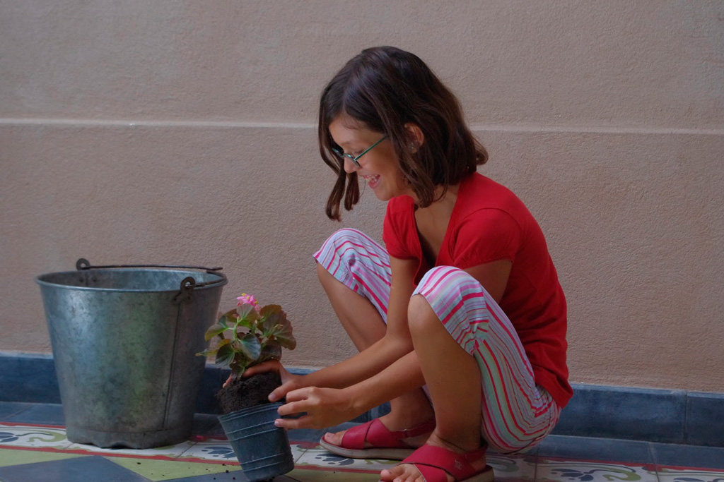 Senha verde. Uma produção do Goethe-Institut e diversos canais latinoamericanos. Os produtores estão entre os docentes do curso comKids.