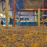 Criança balança em parque infantil cercado, com chão coberto por pétalas amarelas e brinquedos coloridos ao fundo.