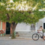 Fotografia de uma pessoa de bicicleta em uma rua arborizada, diante de casas simples.